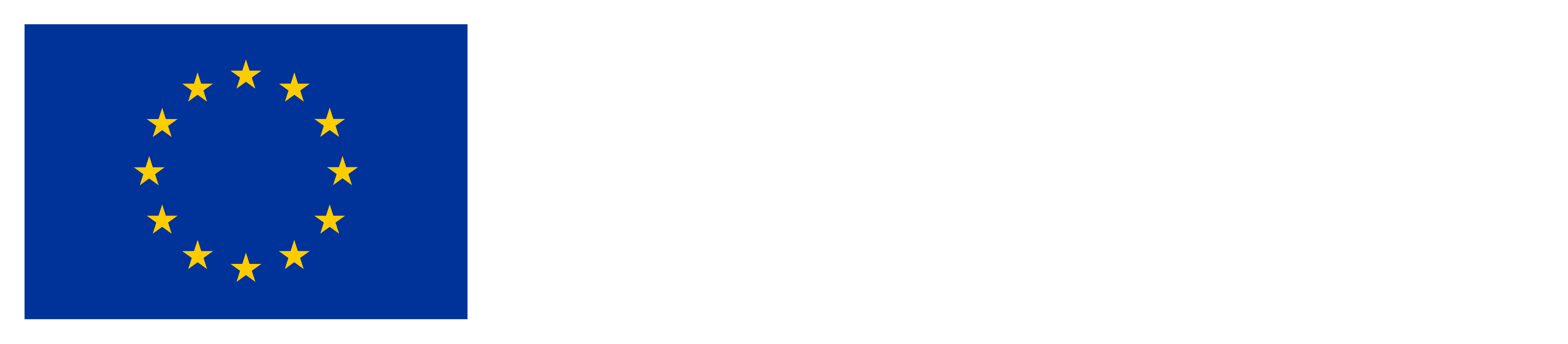 Logo: Konfinanziert von der Europäischen Union